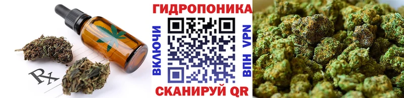 Купить где  Великий Новгород  Canna-Cookies марихуана 