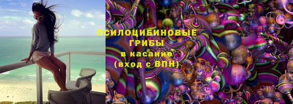 крисы Армянск