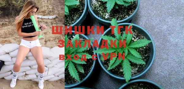 крисы Армянск