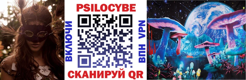 Купить закладки  Великий Новгород  Псилоцибиновые грибы мицелий 